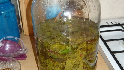 Mátový sirup (i pro diabetiky)