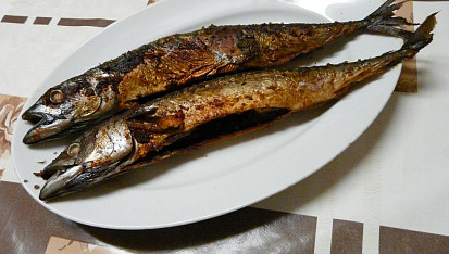 Naložené grilované makrely