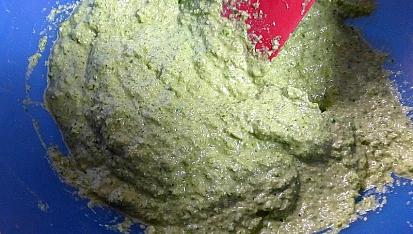 Pesto z mangoldu