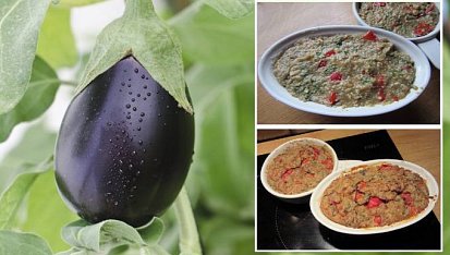 Terrina z lilku a kuřecího masa