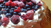 Dort Pavlova