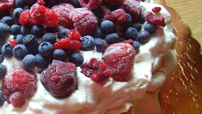 Dort Pavlova