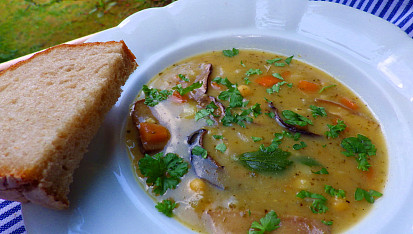Houbová polévka s cizrnou a zeleninou