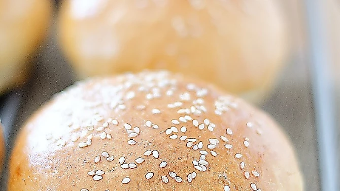 Housky na hamburgery