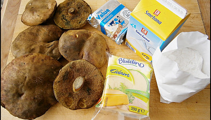 Hřiby v sýrovo solamylovém těstíčku, Část použitých surovin