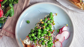 Jarní koláč s bylinkovým tofu krémem a hráškem