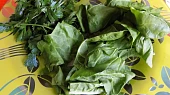 Mangoldovo-petrželkové pesto