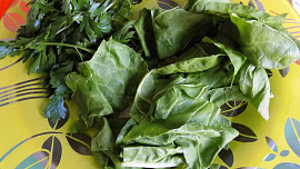 Mangoldovo-petrželkové pesto
