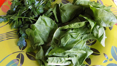 Mangoldovo-petrželkové pesto
