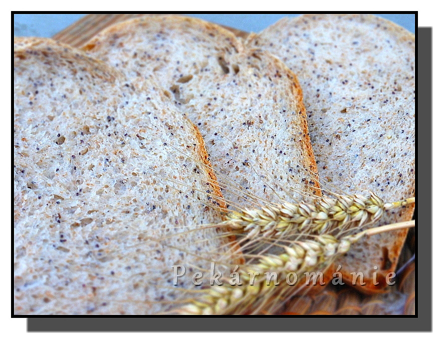 Obyčejný chleba s mákem a otrubami