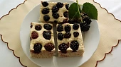 Ostružinový koláč se šáchorem bez lepku, mléka a vajec