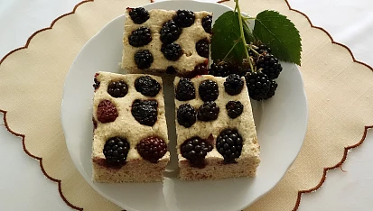 Ostružinový koláč se šáchorem bez lepku, mléka a vajec