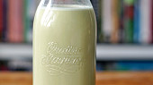 Pistáciové mléko s vanilkou (raw)