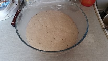 Pšeničnožitný chléb