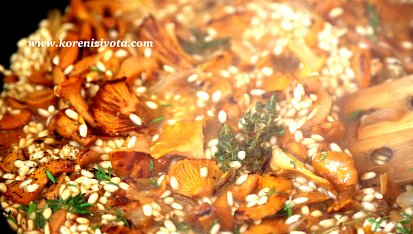 Risotto s karamelizovanou cibulí a liškami, rýži je potřeba lehce opéct s cibulkou, houbami, tymiánem i česnekem, zastříkněte pak vínem