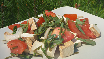Salát ze šruchy zelné, rajčat a tofu