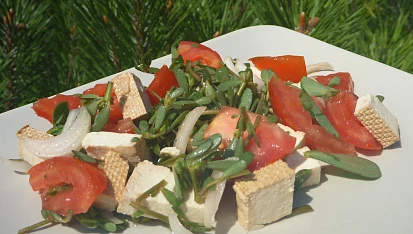 Salát ze šruchy zelné, rajčat a tofu