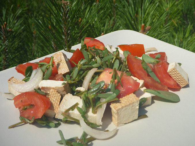 Salát ze šruchy zelné, rajčat a tofu