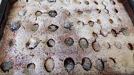 Skořicový koláč se slunečnicovými semínky a švestkami