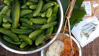 Znojemské okurky bez vaření láku a navíc DIA, Ingredience pro nakládané znojemské okurky