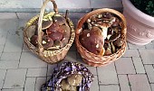 Bramborové knedlíky plněné houbami (Čerstvá úroda)