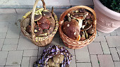 Bramborové knedlíky plněné houbami, Čerstvá úroda