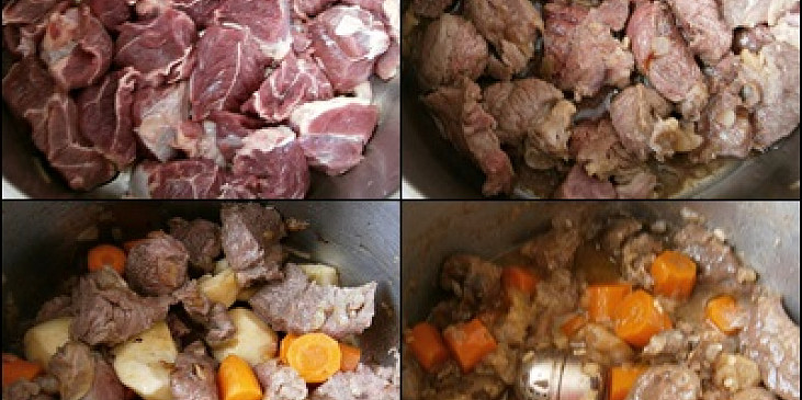 Na orestované cibuli osmažíme maso,přidáme všechny uvedené suroviny a pod tlakem dusíme 35 minut