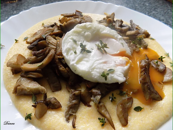 Krémová polenta s restovanou hlívou a ztraceným vejcem Krémová polenta s restovanou hlívou a ztraceným vejcem