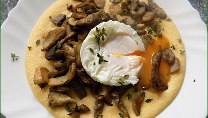 Krémová polenta s restovanou hlívou a ztraceným vejcem