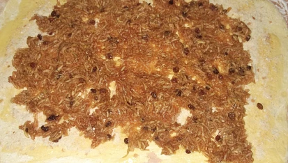 Kynutý jablečný závin