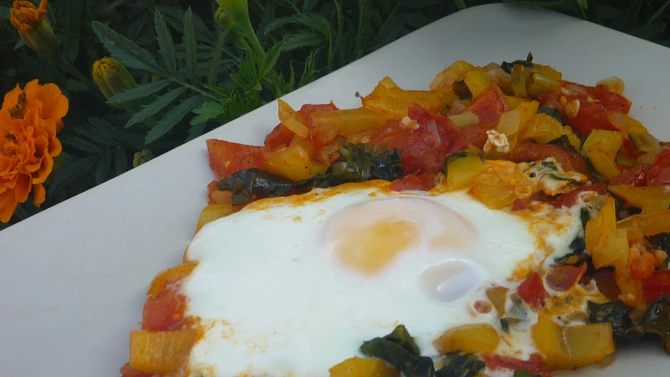 Mangoldová variace na shakshuka (na arabské lečo)