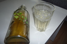 Mátový sirup
