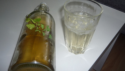 Sirup meduňkový, mátový, levandulový - podle mne, Mátový sirup