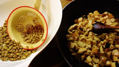 Čočkovo-houbové koule