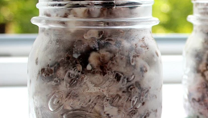 Domácí OREO zmrzlina