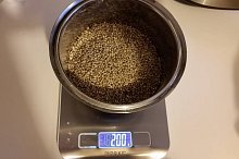 bajra