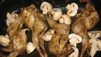 Křepelky ala divočina