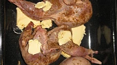 Křepelky ala divočina