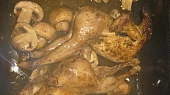Křepelky ala divočina