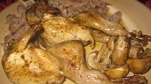 Křepelky ala divočina