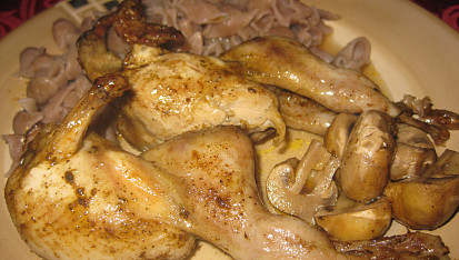 Křepelky ala divočina