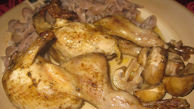 Křepelky ala divočina