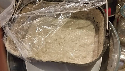 Žitný kvásek z podmáslí, Produkční kvásek