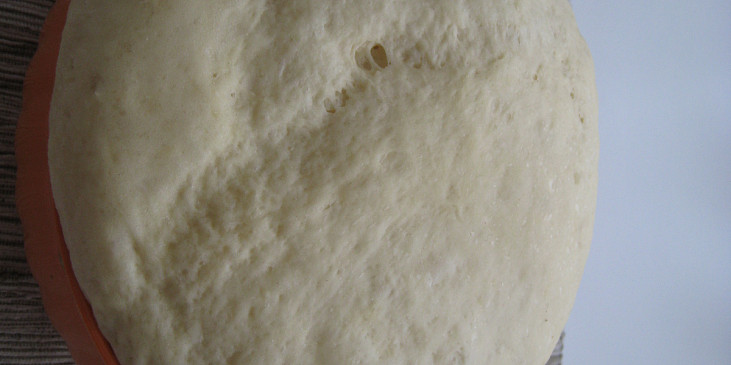 Meruňkové knedlíky s oříškovým jogurtem