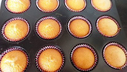 Muffiny