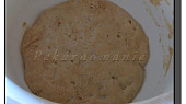 Staré těsto – old dough – pâte fermentée