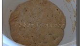 Staré těsto – old dough – pâte fermentée