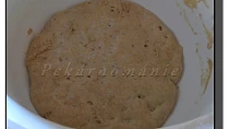 Staré těsto – old dough – pâte fermentée