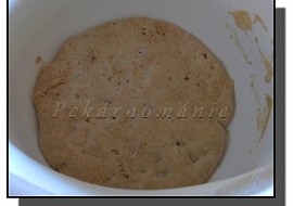 Staré těsto – old dough – pâte fermentée