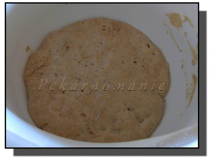 Staré těsto – old dough – pâte fermentée